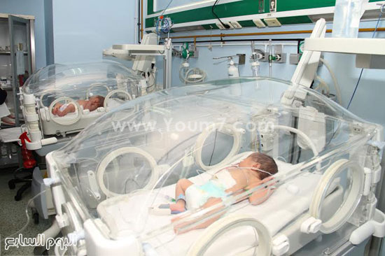 أطفال تحت الرعاية فى حضانات مستشفى طنطا التعليمى العالمى-  اليوم السابع -4 -2015