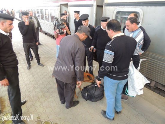 	كلب الحراسة يشم حقيبة مسافر فى محطة مصر -اليوم السابع -4 -2015