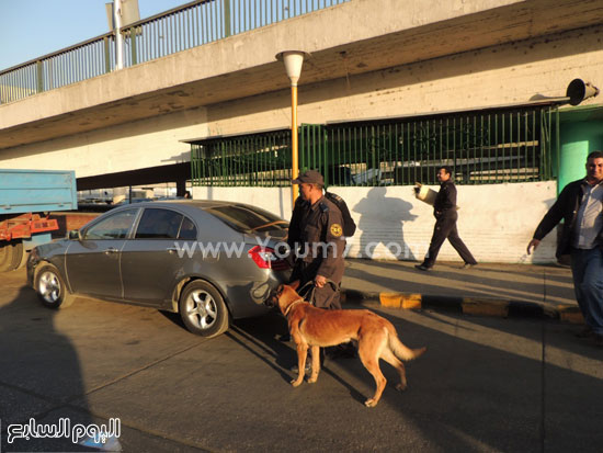  كلب الحراسة يتفقد سيارة مواطن -اليوم السابع -4 -2015