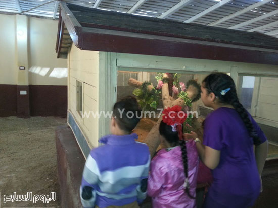  محموعة من الأطفال داخل بيت الزواحف -اليوم السابع -4 -2015