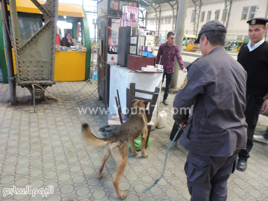 إجراءات تفتيش محطات القطارات بالكلاب البوليسية -اليوم السابع -4 -2015