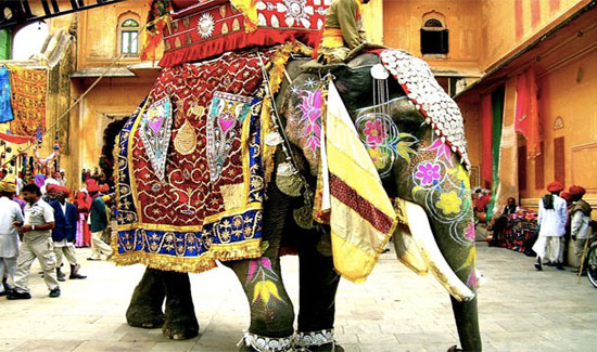 فى سريلانكا والهند هناك وظائف شاغرة لاختيار أزياء الأفيال  -اليوم السابع -4 -2015