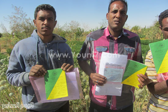 عدد من شباب الخريجين يحملون بطاقات الحيازة الزراعية الخاصة بهم -اليوم السابع -4 -2015
