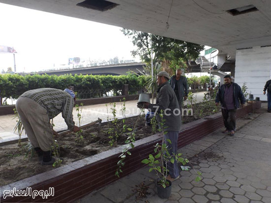  عمال الحدائق اثناء وضع الزرع بجوار النيل  -اليوم السابع -4 -2015