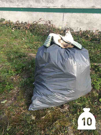 أحد أكياس القمامة التى تم جمعها من فوق الحافة  -اليوم السابع -4 -2015