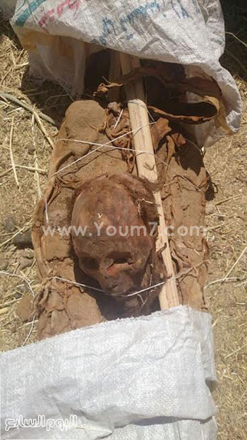 المومياء -اليوم السابع -4 -2015