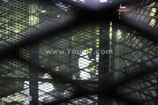 	عدد من المتهمين داخل قفص الاتهام -اليوم السابع -4 -2015
