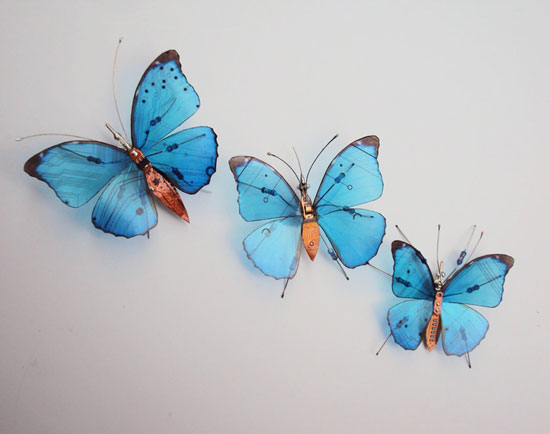 	أشكال جميلة من الفراشات -اليوم السابع -4 -2015