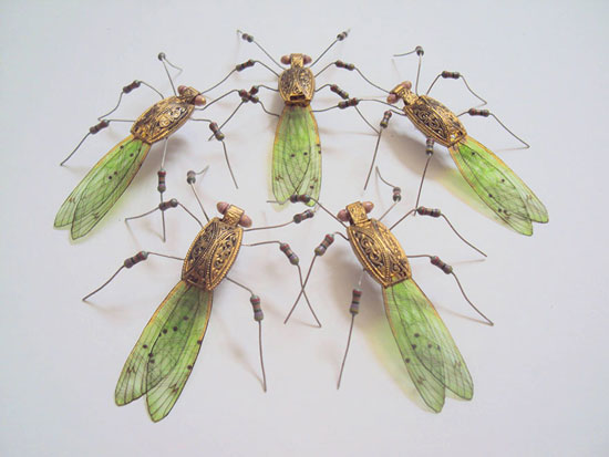 	بعض الحشرات الأخرى -اليوم السابع -4 -2015