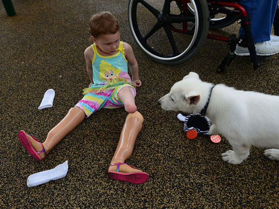 الطفلة فى لقطة مختلفة مع الكلب توضح حجم المعاناة النفسية التى مرت بها  -اليوم السابع -4 -2015