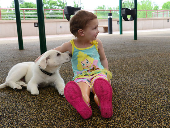 الطفلة المريضة مع كلبها -اليوم السابع -4 -2015