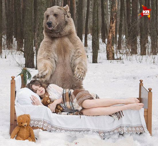 	الدب الروسى -اليوم السابع -4 -2015