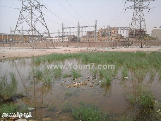 مياه الصرف تزحف إلى محطة كهرباء محولات السيل بأسوان -اليوم السابع -4 -2015