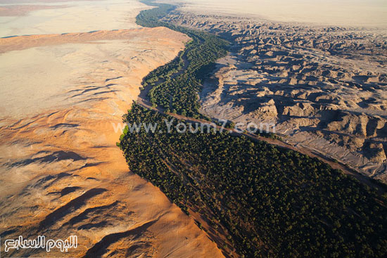 نهر Kuiseb يسمح للنباتات بالنمو فى الصحراء الجافة. -اليوم السابع -4 -2015