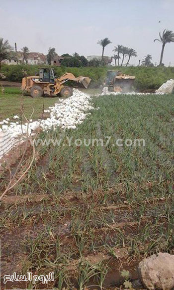 3- جانب من الحملة  -اليوم السابع -4 -2015