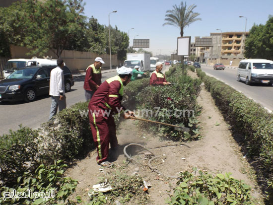 عمال الحدائق أثناء صيانة المسطحات الخضراء -اليوم السابع -4 -2015