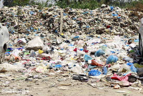  أكوام من القمامة تنتشر بها الحشرات والقوارض -اليوم السابع -4 -2015
