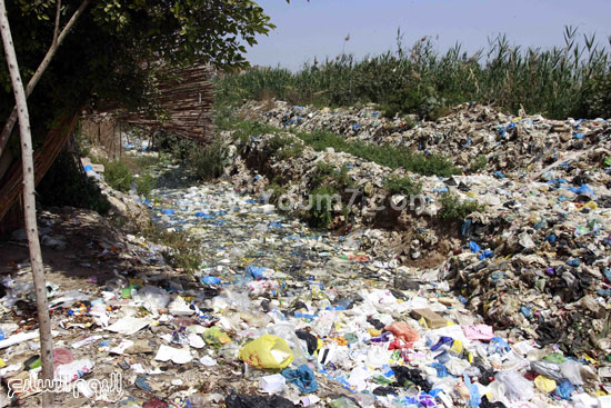  القمامة تعوم فوق بركة مياه ضحلة -اليوم السابع -4 -2015