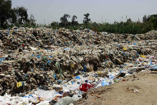  انتشار القوارض والحشرات بسبب تراكم القمامة -اليوم السابع -4 -2015