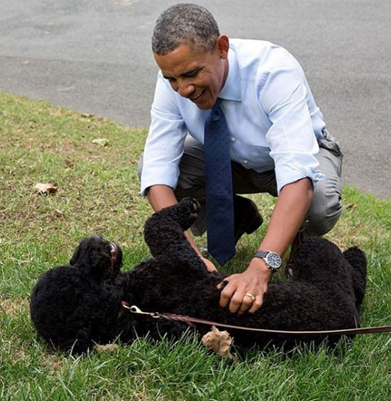 أوباما يداعب كلبه فى احتفالات يوم الحيوانات الأليفة (2)