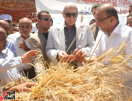 محافظ أسوان يلتقى الأهالى بموسم حصاد القمح (6)