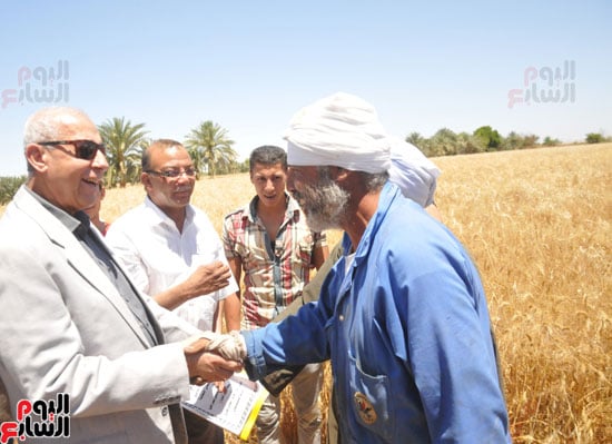 محافظ أسوان يلتقى الأهالى بموسم حصاد القمح (7)
