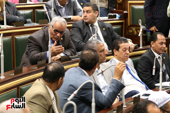 مجلس النواب البرلمان (5)