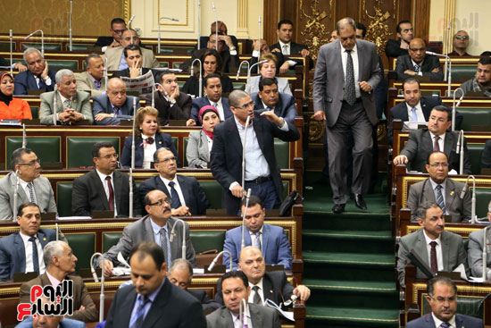 مجلس النواب البرلمان (14)