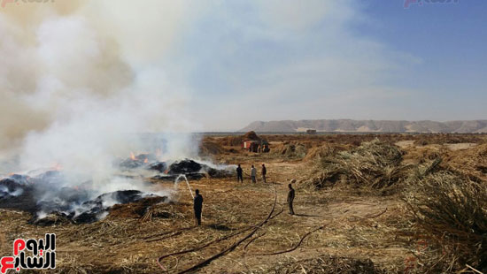 السيطرة على حريق مصنع بوص بسوهاج (4)