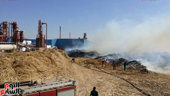 السيطرة على حريق مصنع بوص بسوهاج (6)
