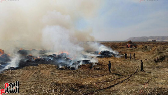 السيطرة على حريق مصنع بوص بسوهاج (7)