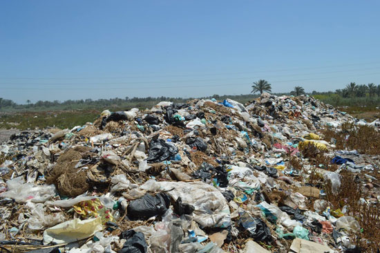 وضع آليات العمل فى مصنع تدوير القمامة بكفر الشيخ  (12)