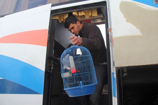 نقل مرضى سوريين من بلدات محاصرة (7)