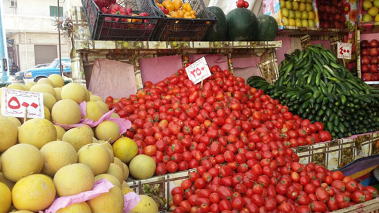 توزيع الخضروات والفواكه بمدينة الحمام (2)