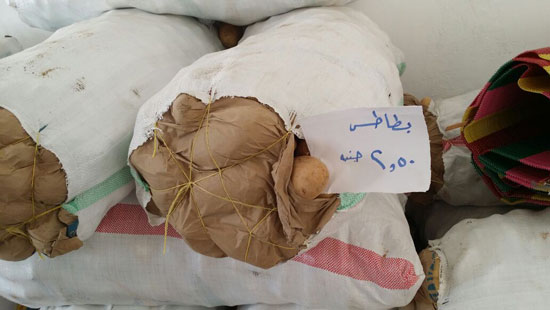 توزيع الخضروات والفواكه بمدينة الحمام (3)