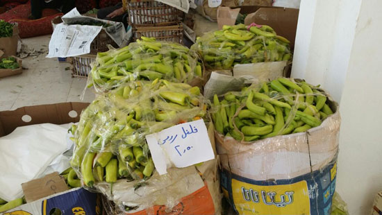 توزيع الخضروات والفواكه بمدينة الحمام (4)