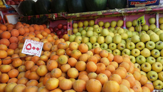 توزيع الخضروات والفواكه بمدينة الحمام (5)