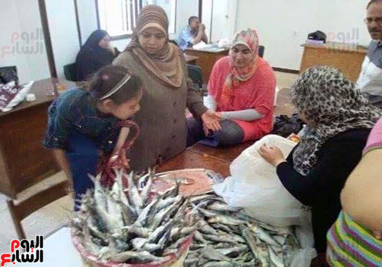 إعداد الموظفين للأسماك (9)