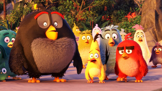 The Angry Birds (2)