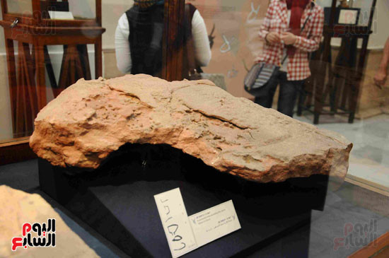 وزير الآثار يفتتح معرض سيناء بالمتحف المصرى (32)