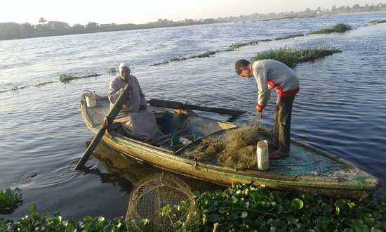نهر النيل ، الصيد ، انواع السمك ، مهنة الصيد ، منوعات ، اخبار خفيفه (2)