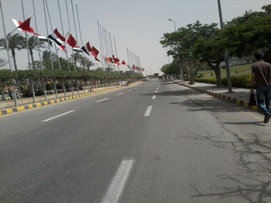 المطار يتزين بأعلام مصر والبحرين (2)