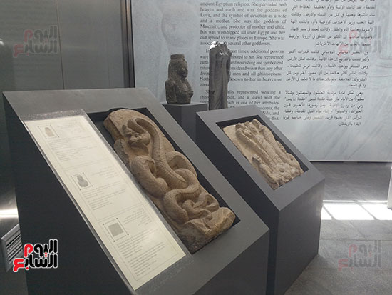  متحف الآثار بمكتبة الإسكندرية (14)