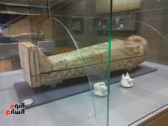  متحف الآثار بمكتبة الإسكندرية (5)