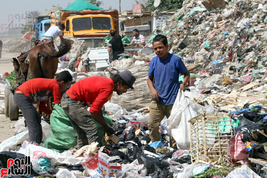 القمامة تغرق مجمع مدارس بشتيل (7)