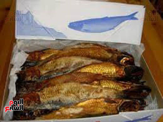 فحص الأسماك المملحة والمدخنة (3)