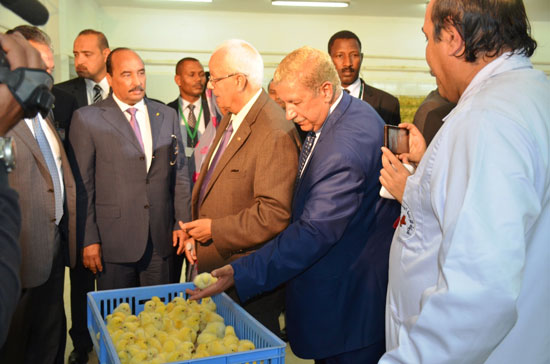 زيارة رئيس موريتانيا للإسماعيلية (8)