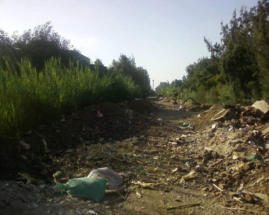 الإهمال وسوء الخدمات مأساة تعيشها قرى مركز أشمون فى المنوفية (6)