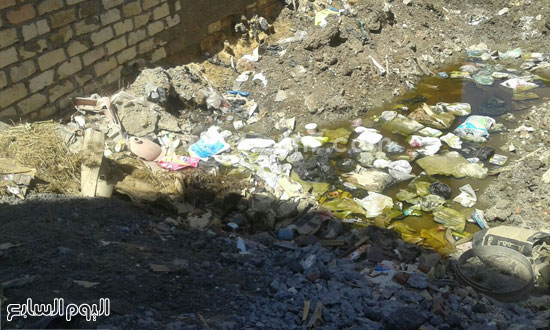 مياه الصرف الصحى تغطى الأراضى بحى عبد الجليل (2)