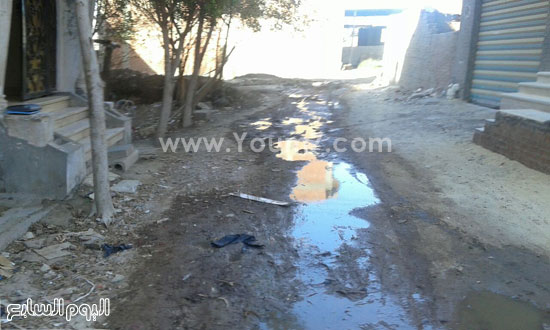 مياه الصرف الصحى تغطى الأراضى بحى عبد الجليل (5)